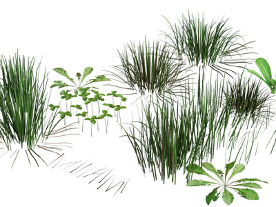 现代花草绿植