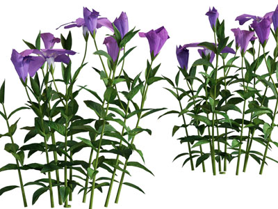 现代花草绿植