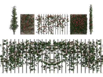 现代花墙、藤蔓植物墙