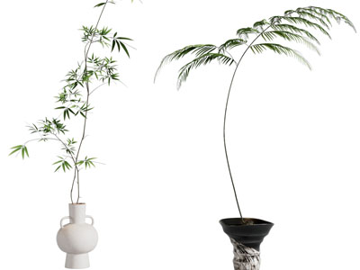 现代花瓶花卉