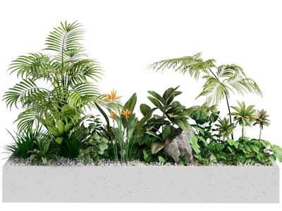 现代花坛花草植物景观园艺小品