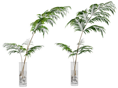 现代玻璃花瓶树枝