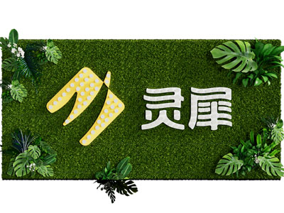 现代植物背景墙