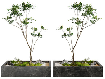 现代花坛植物景观园艺小品