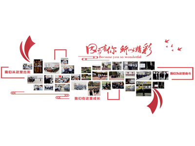 现代党建文化宣传背景墙