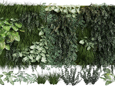 现代植物墙