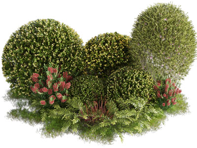 现代灌木丛 花草植物 园艺小品