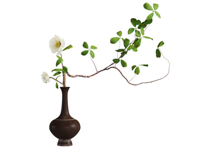 现代花瓶花卉