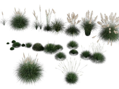 现代花草植物