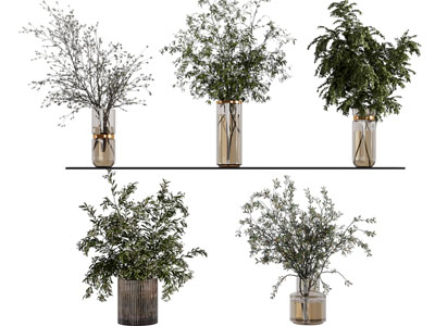 现代花瓶花卉
