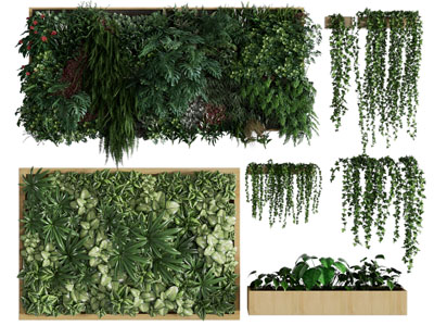 现代植物墙、藤蔓植物
