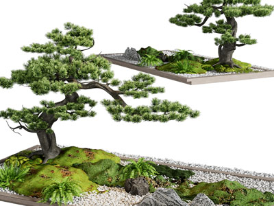新中式花坛松树景观园艺小品