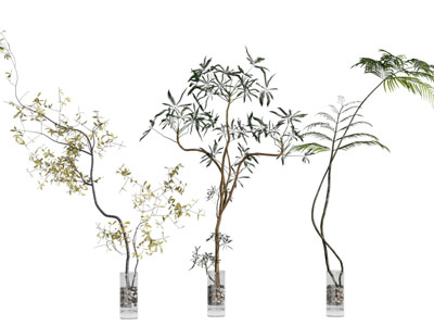 现代花瓶花卉