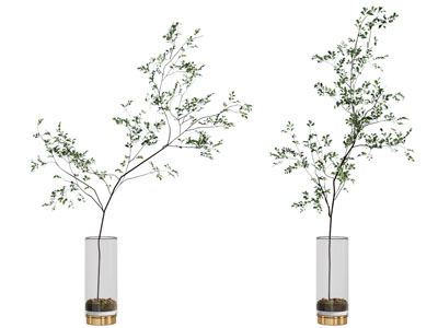 现代花瓶花卉