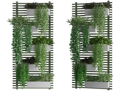 现代花架 吊篮绿植植物墙