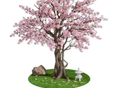 现代道旁花树