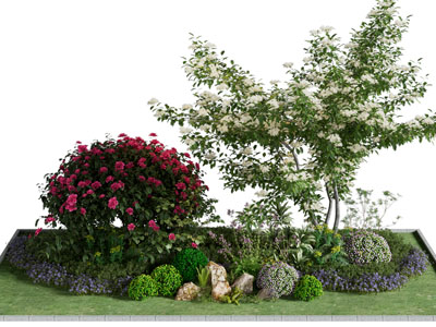 现代花卉花草 灌木植物景观园艺小品