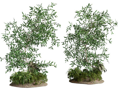 新中式花草 竹子景观园艺小品