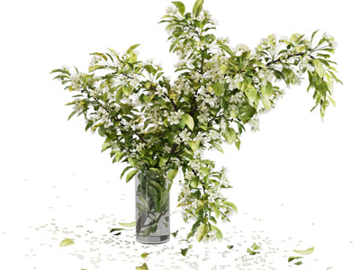 现代花瓶花卉