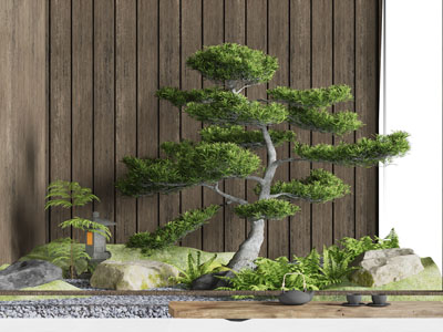 新中式松树 石头 苔藓室内景观园艺小品
