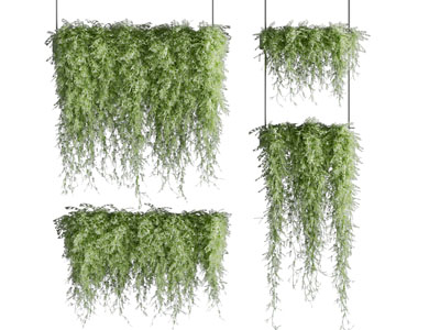 现代吊篮绿植 藤蔓植物