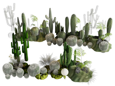 现代多肉植物 苔藓 石头景观园艺小品