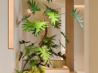 现代盆栽植物景观园艺小品
