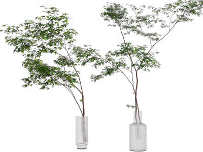 现代花瓶花卉