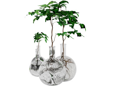 现代玻璃花瓶花卉