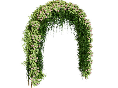 现代花卉门拱 门洞 花架 拱形门植物花架 花门