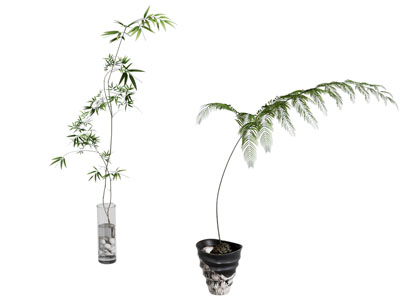 现代花瓶花卉