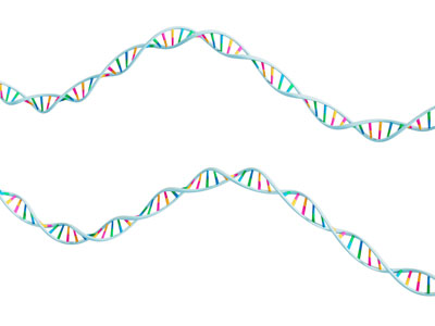 现代DNA分子链 基因链 脱氧核糖核酸