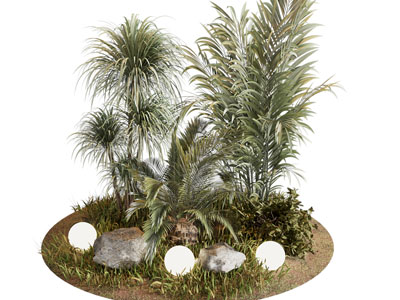现代花草 石头 草坪灯 景观园艺小品