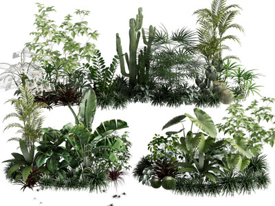 现代花草植物景观园艺小品