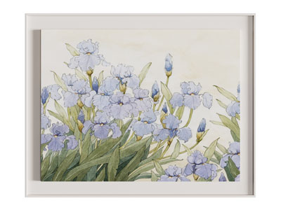 现代花卉装饰挂画