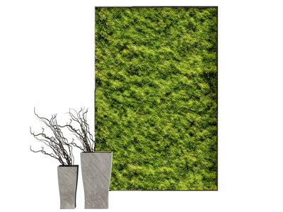 现代植物墙装饰挂画