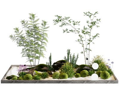 现代花池植物树木石头景观园艺小品
