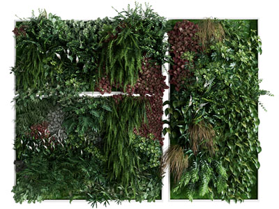 现代植物墙 植物挂画