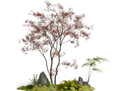 现代树木 石头 苔藓 植物 景观园艺小品