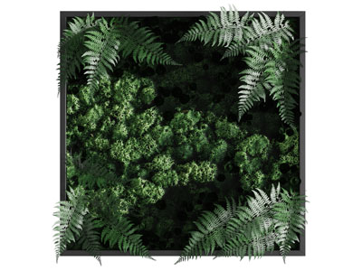 现代植物装饰挂画 植物墙