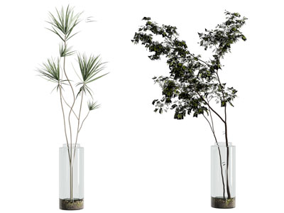 现代玻璃花瓶花卉