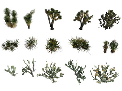 现代仙人掌 多肉 花草植物