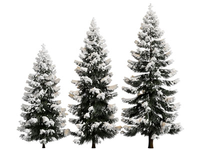 现代被雪盖满了的松树