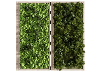 现代植物装饰挂画 植物墙