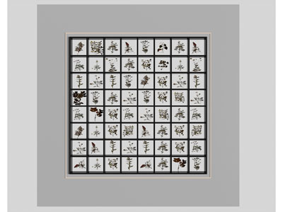现代植物标本展示展览墙