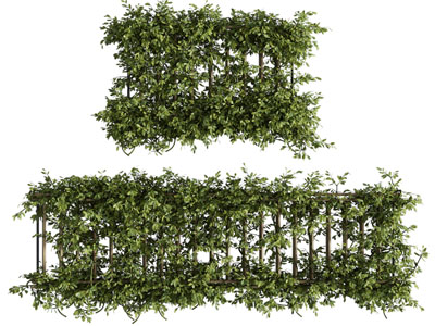 现代花架植物 藤蔓植物墙