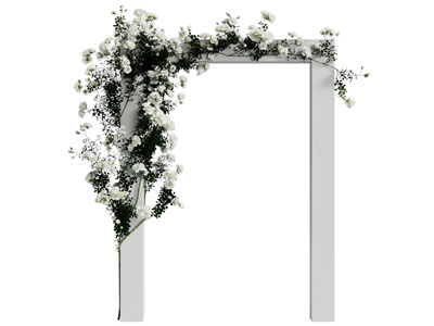 现代花束门拱