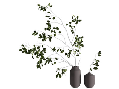 现代花瓶花卉