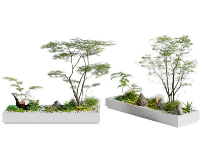 现代花池 花草 树木植物景观园艺小品