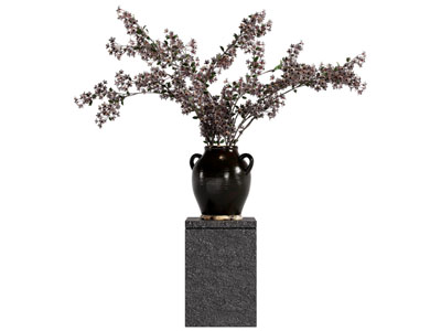 现代花瓶花卉